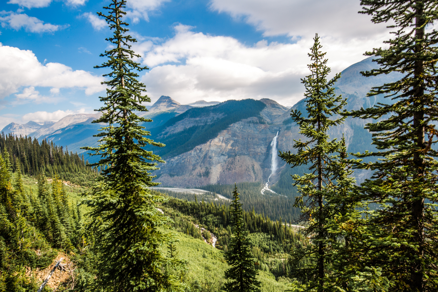Hike Iceline Trail