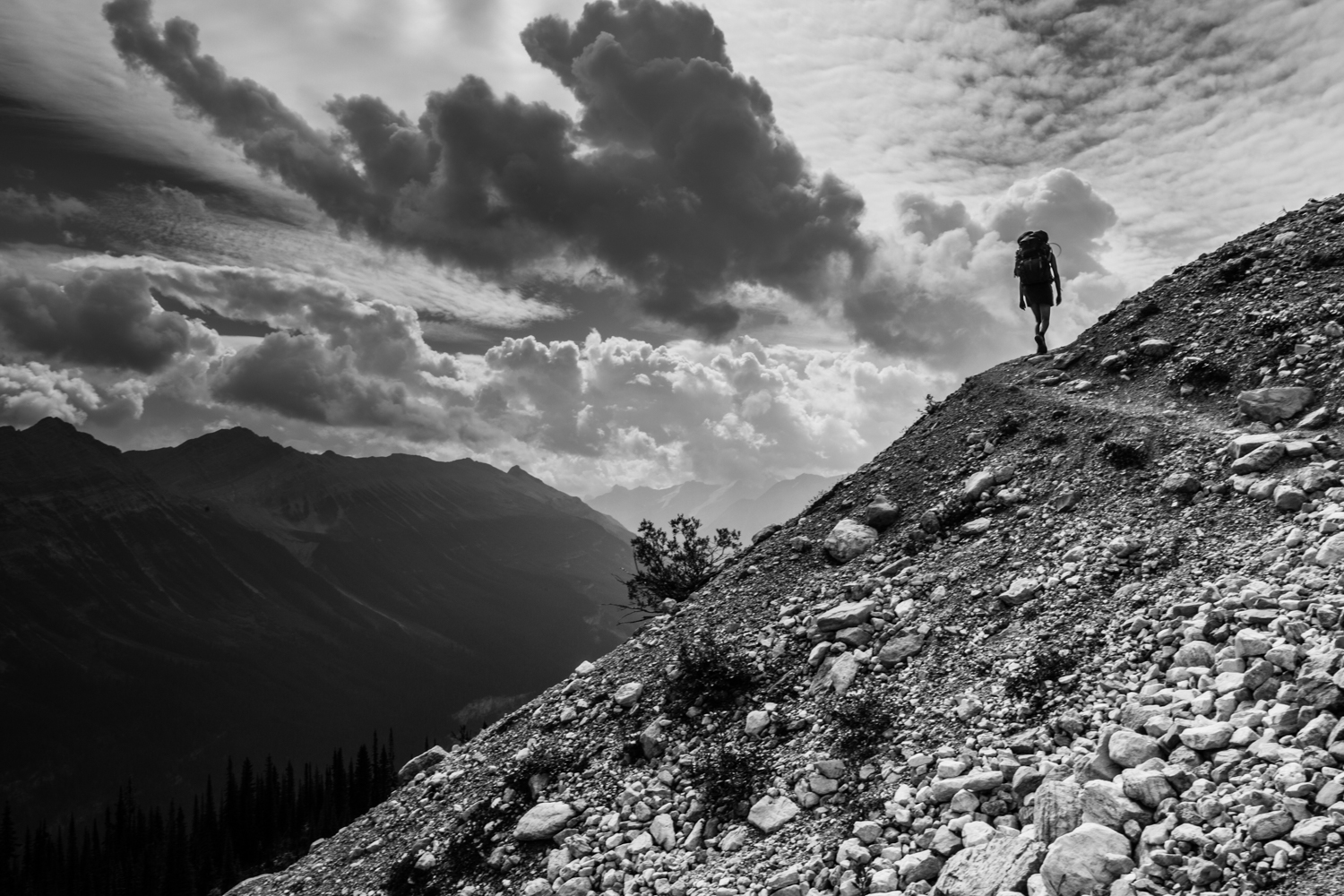 Hike Iceline Trail