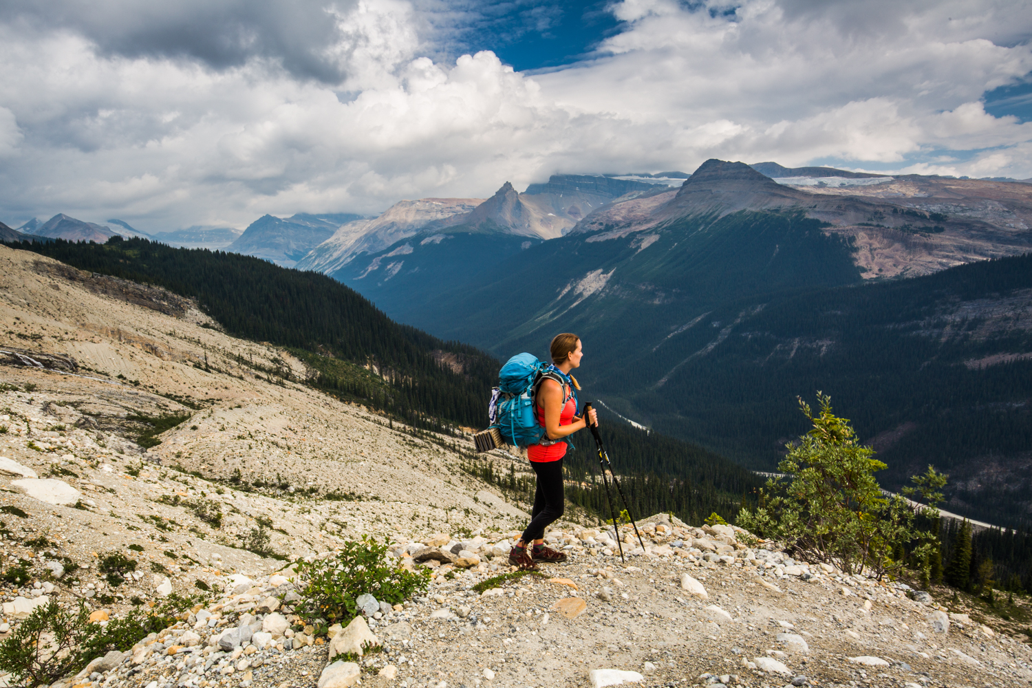 Hike Iceline Trail