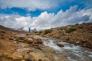 Hike Iceline Trail