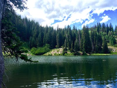 Spend the Day at Bloods Lake