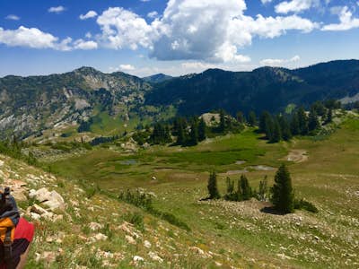 Hike from Collins Gulch to Germania Pass