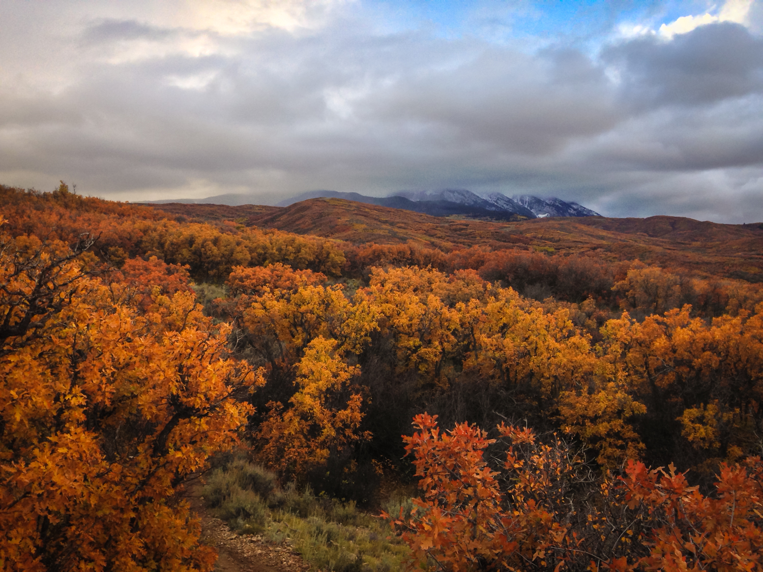 Camp at Prince Creek