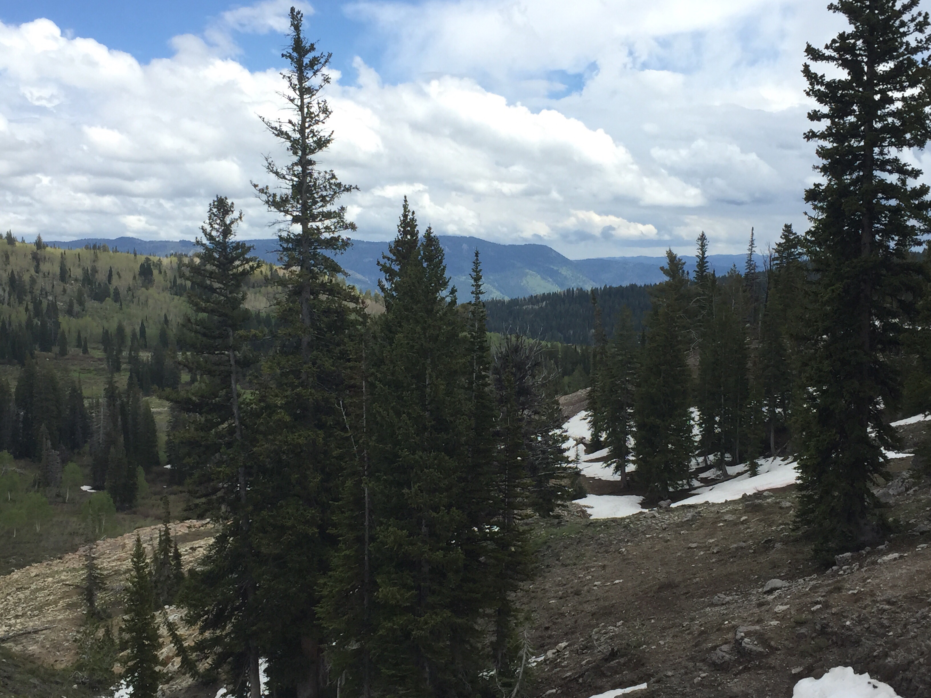 Hike Naomi Peak
