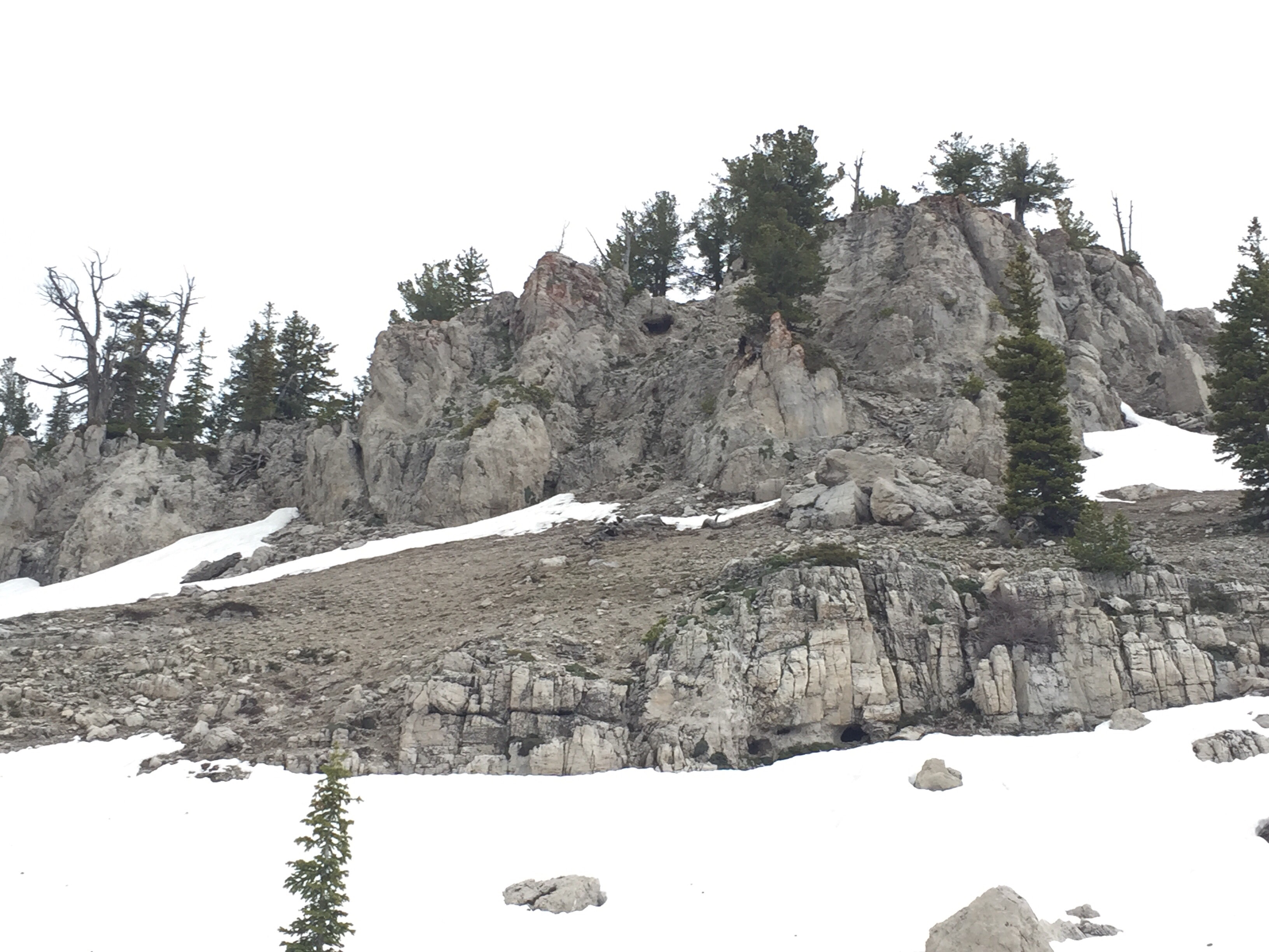 Hike Naomi Peak