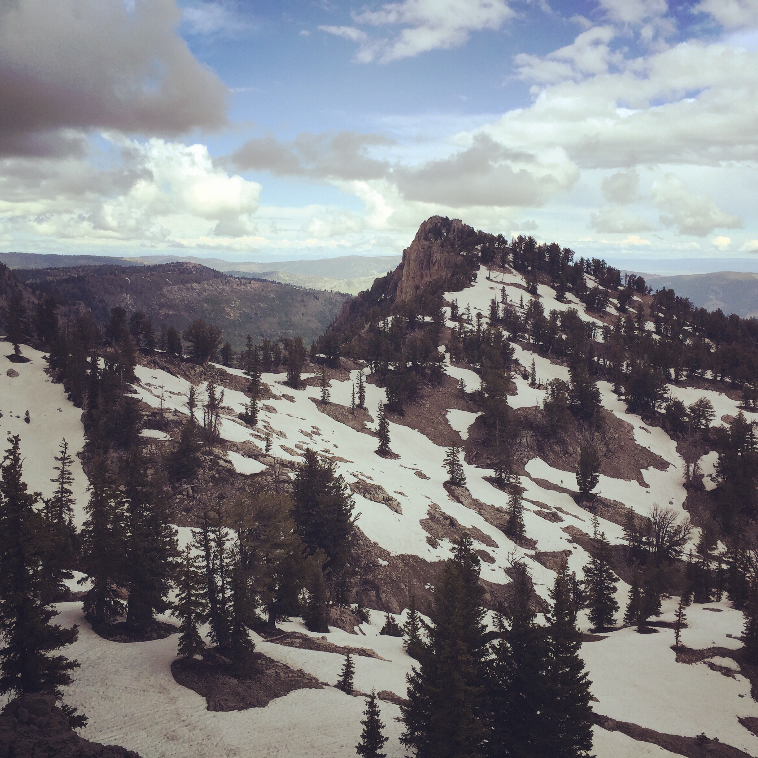 Hike Naomi Peak
