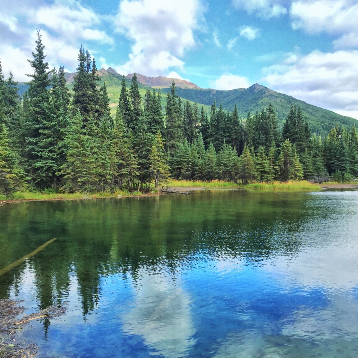 Horseshoe Lake Loop, Healy, Alaska