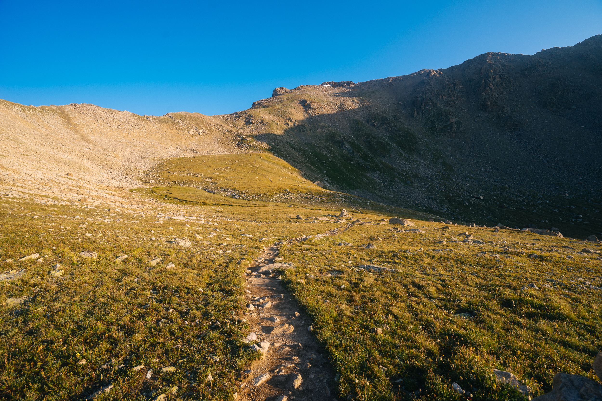 Hike Mt. Harvard