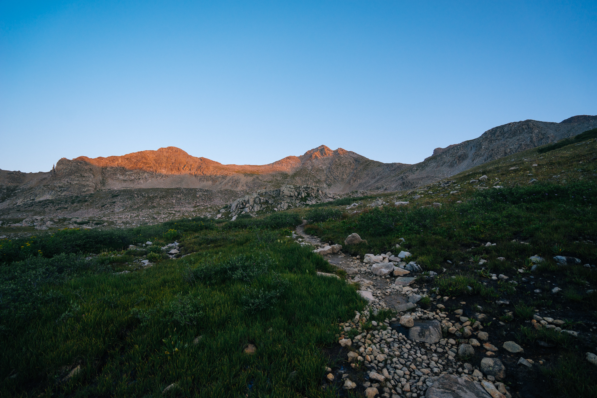 Hike Mt. Harvard