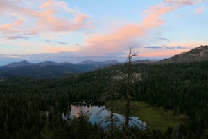 Backpack To Wheeler Lake