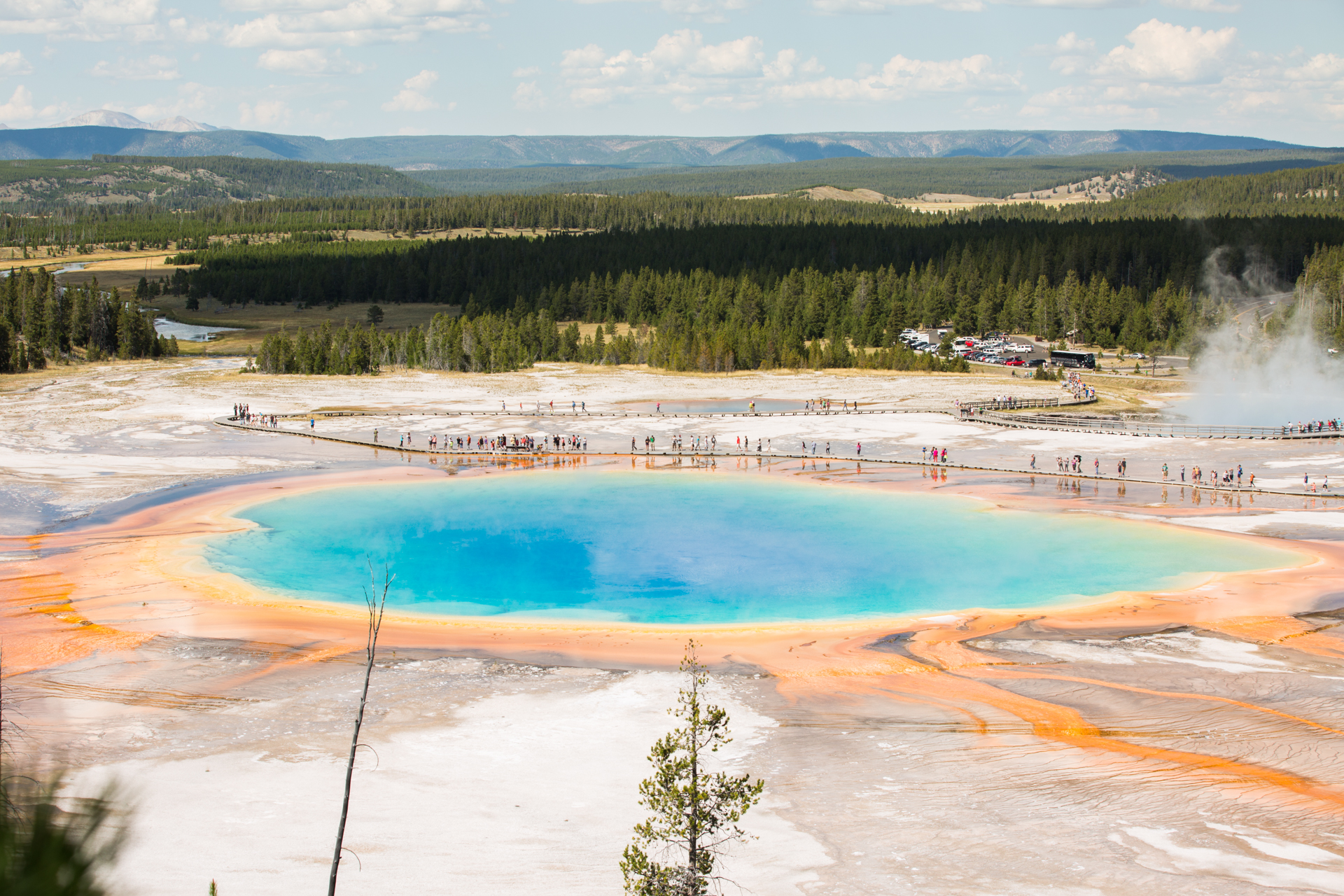 Explore Midway Geyser Basin