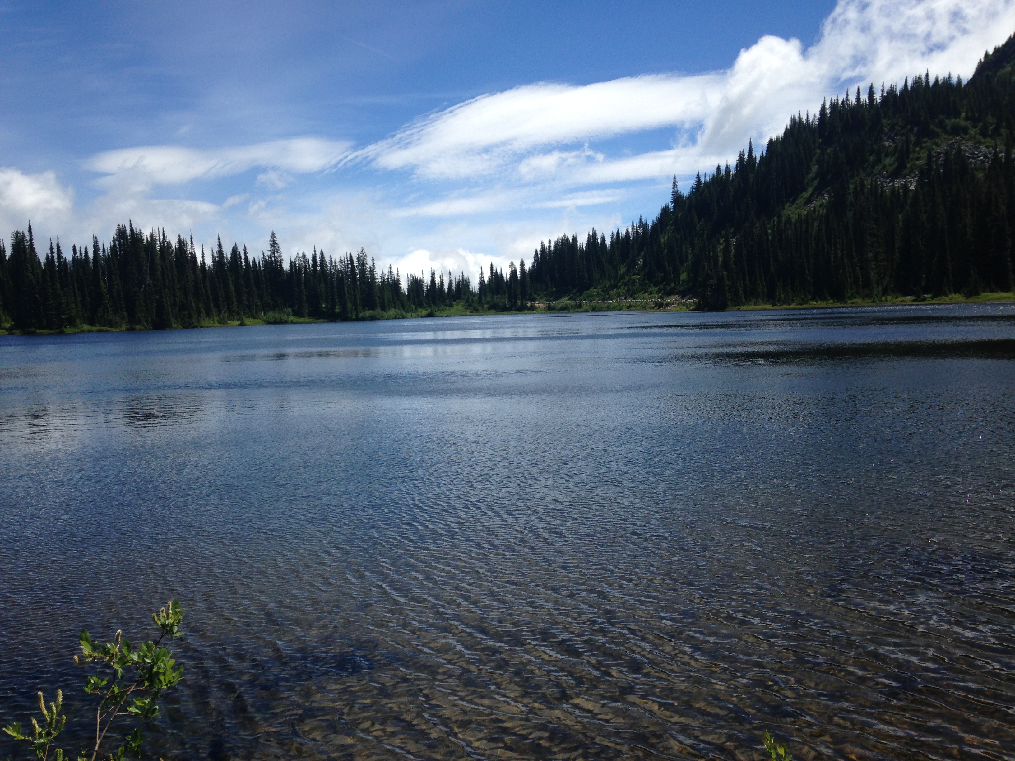 Narada Falls and Reflection Lakes Loop