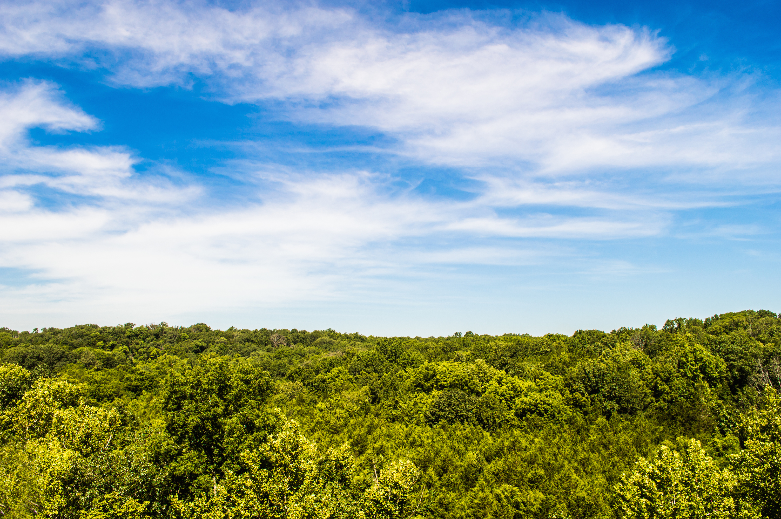 Hike Shooting Star Bluffs