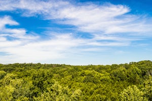 Hike Shooting Star Bluffs