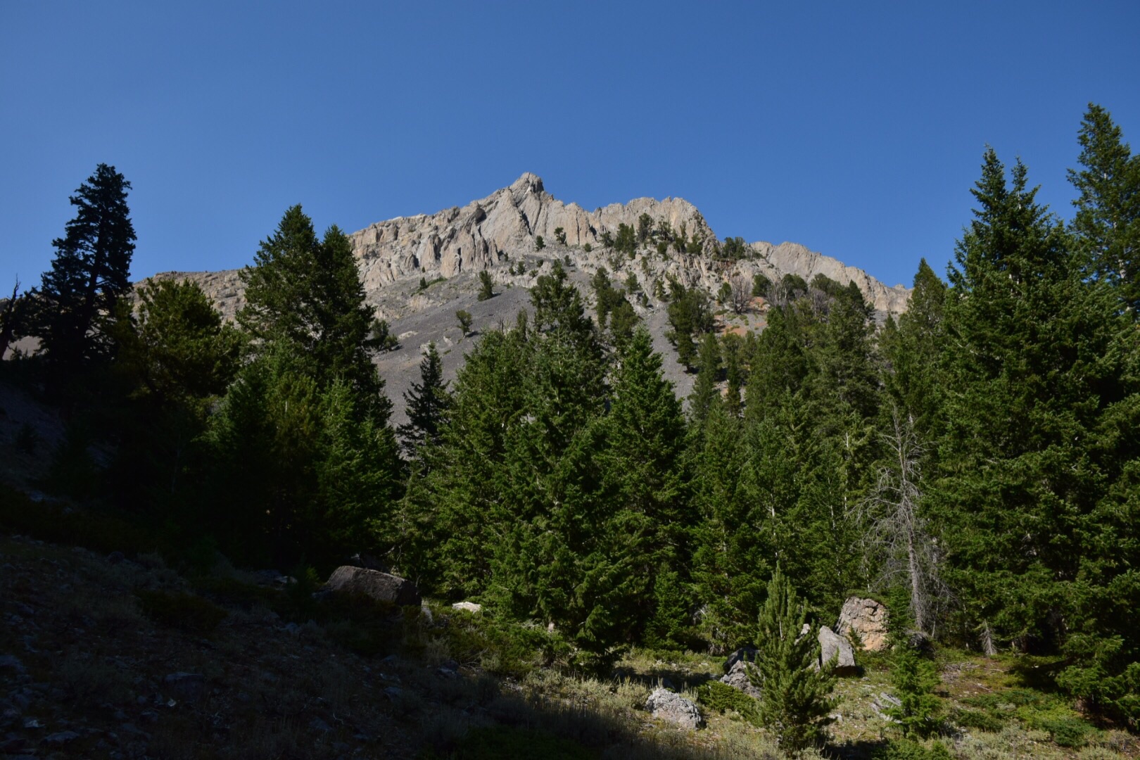 Hike to Bear Creek Lake 