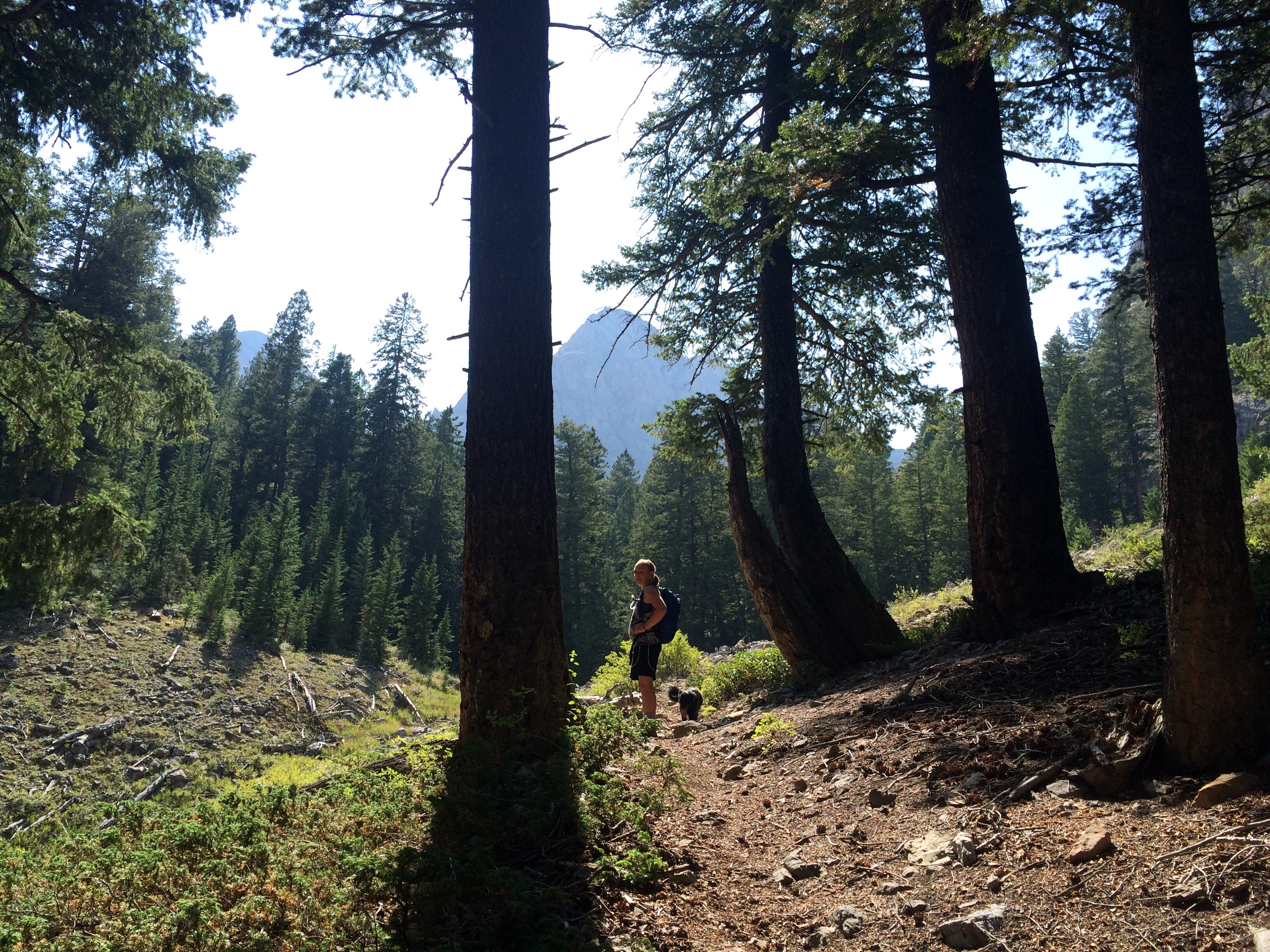 Hike to Bear Creek Lake 