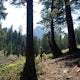 Hike to Bear Creek Lake 