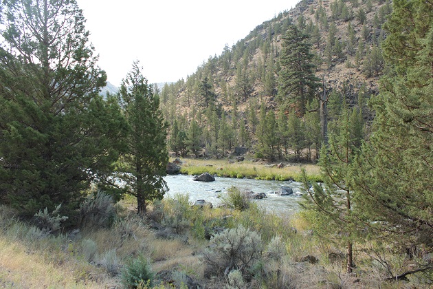 Fly Fish Crooked River