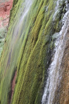Ribbon Falls via North Kaibab Trailhead