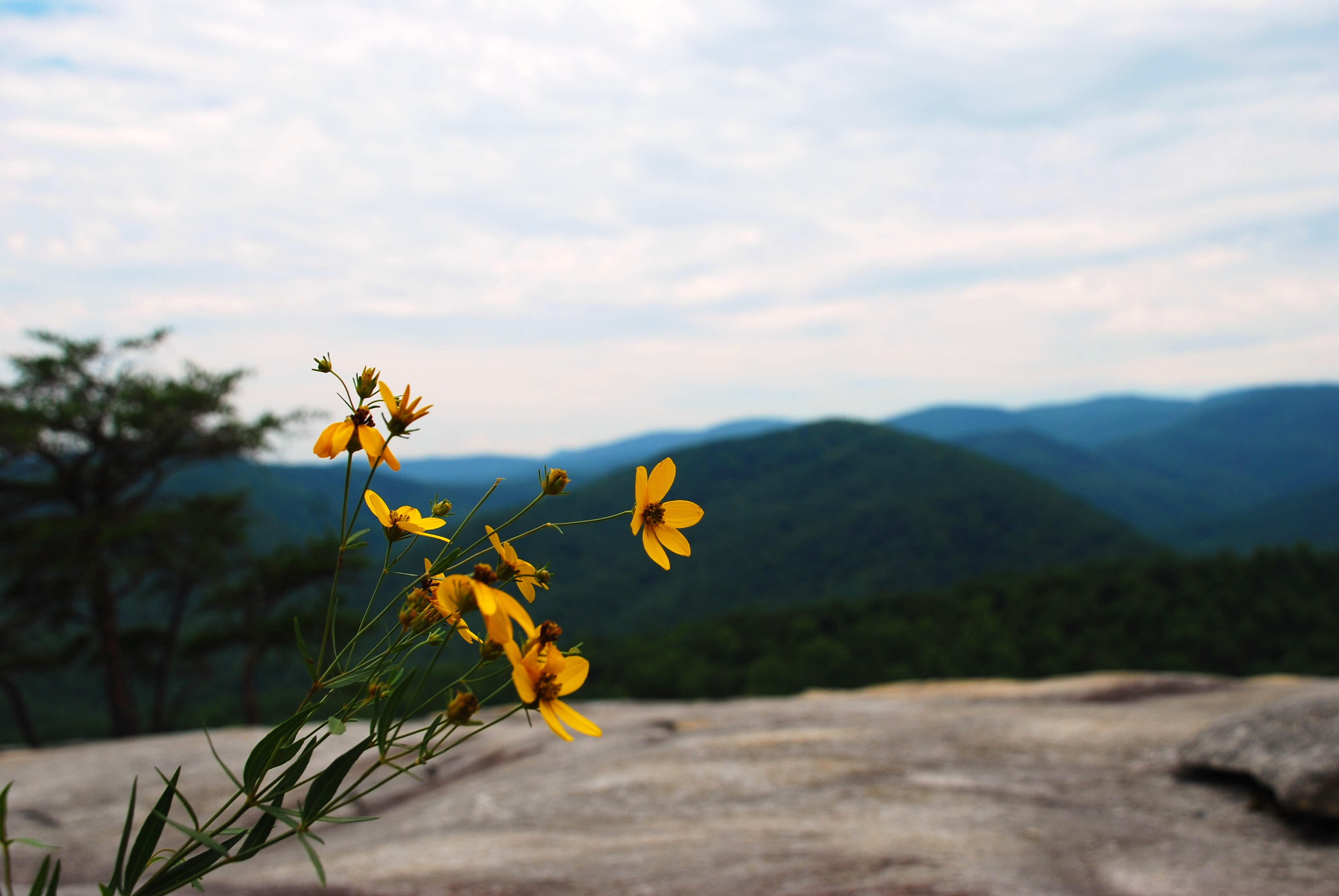 Hike to Wolf Rock and Cedar Rock
