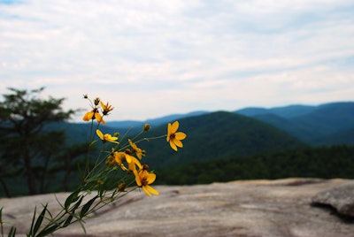 Hike to Wolf Rock and Cedar Rock, Stone Mountain Loop Trail