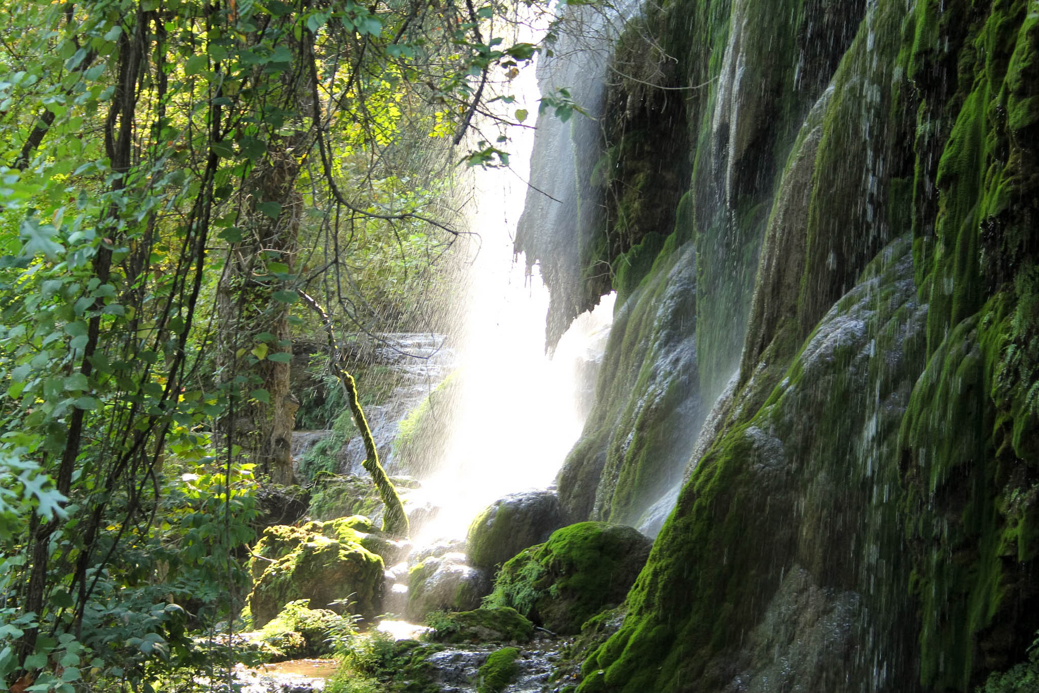 Gorman Falls