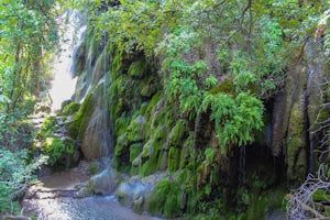 Gorman Falls