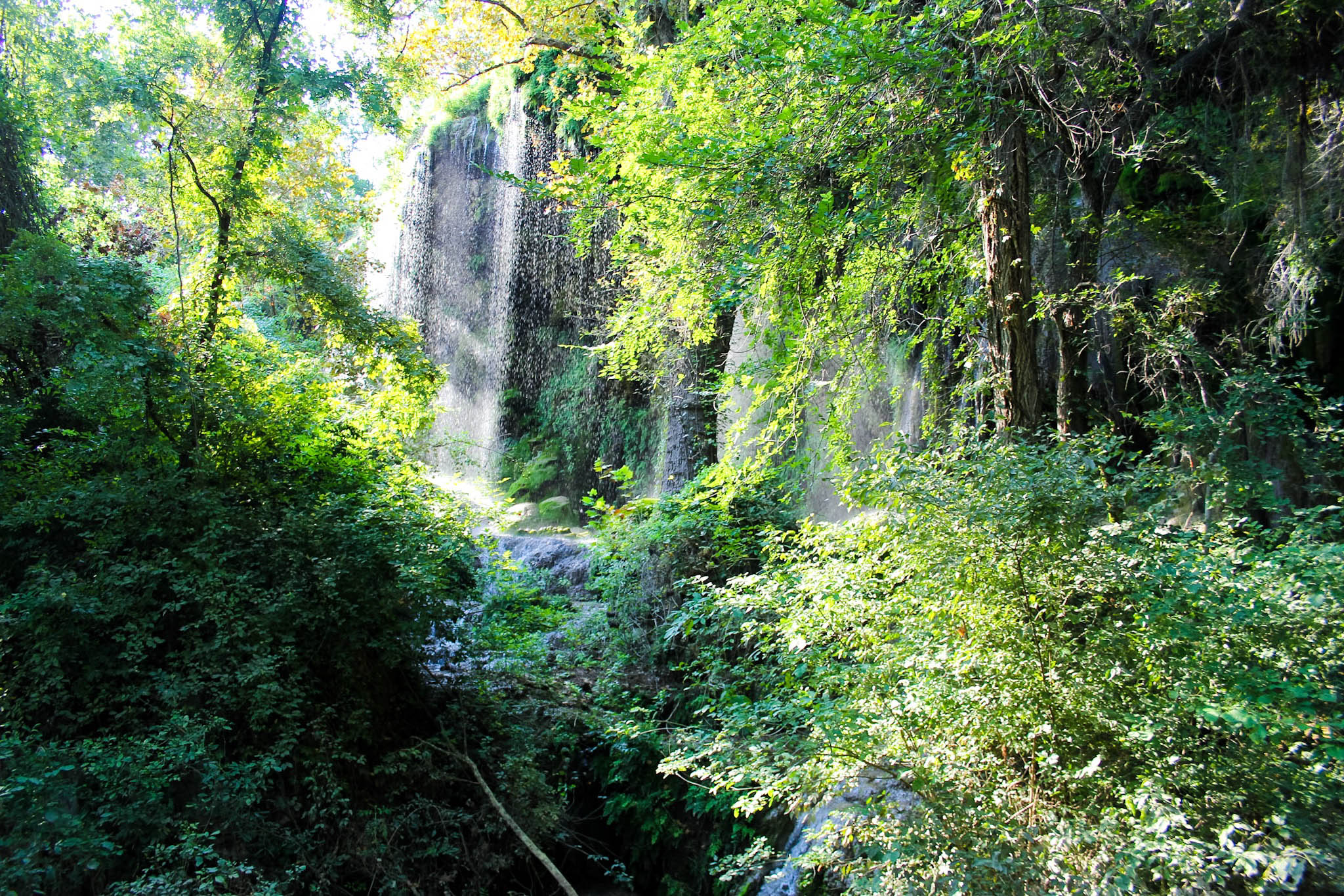 Gorman Falls