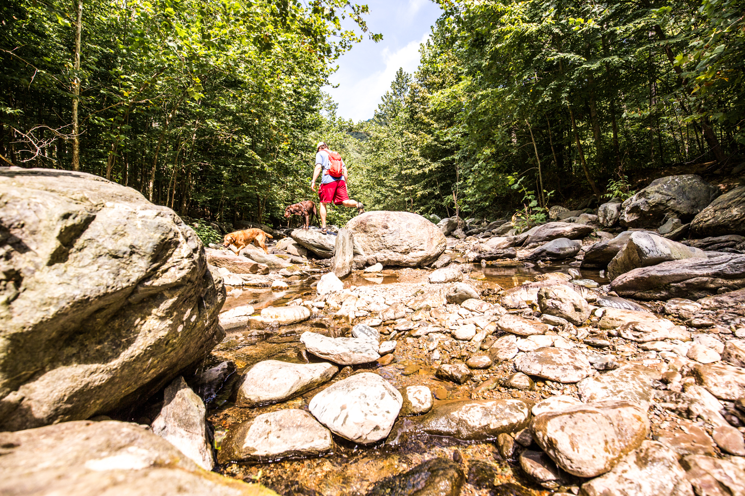 Hike Moorman's River