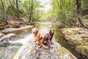 Hike Moorman's River