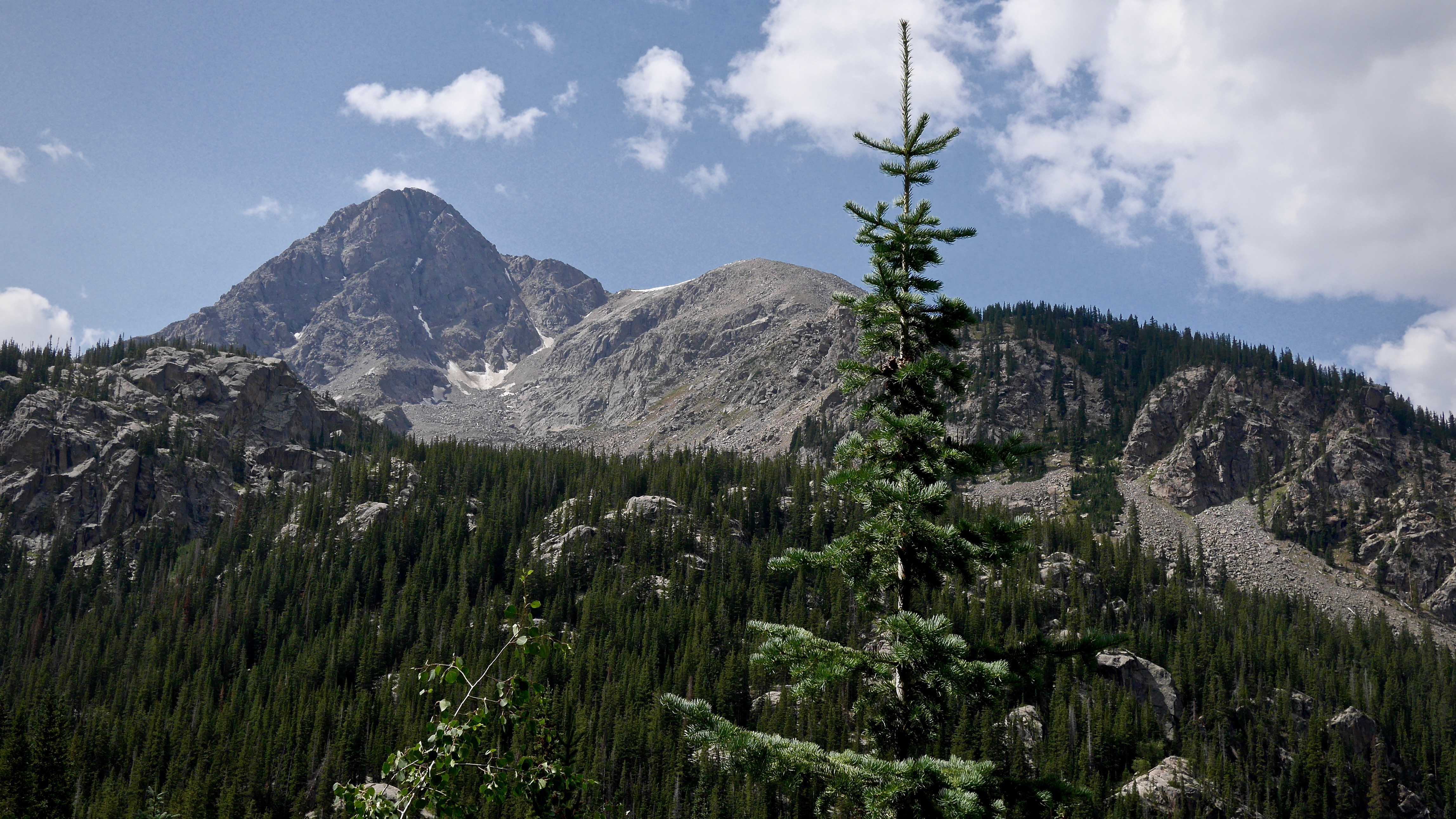 Climb Mount of the Holy Cross, North Ridge, Minturn, Colorado