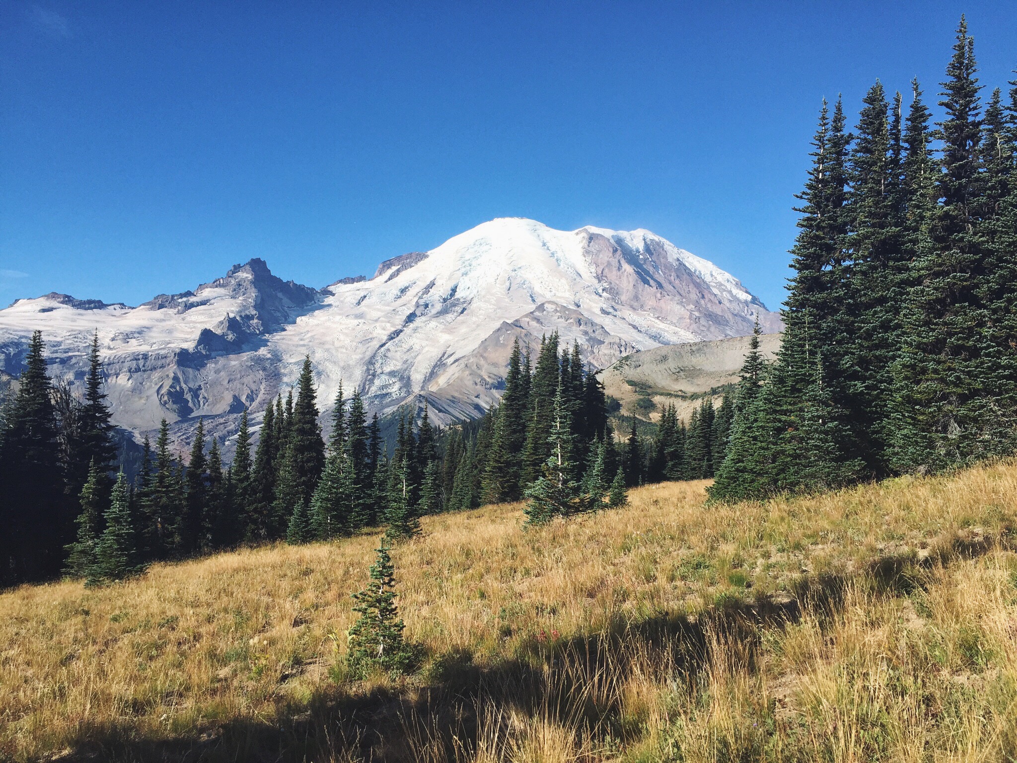 Hike the Burroughs Mountain Trail, Ashford, Washington