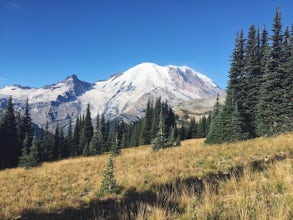 Burroughs Mountain Trail