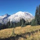 Hike the Burroughs Mountain Trail