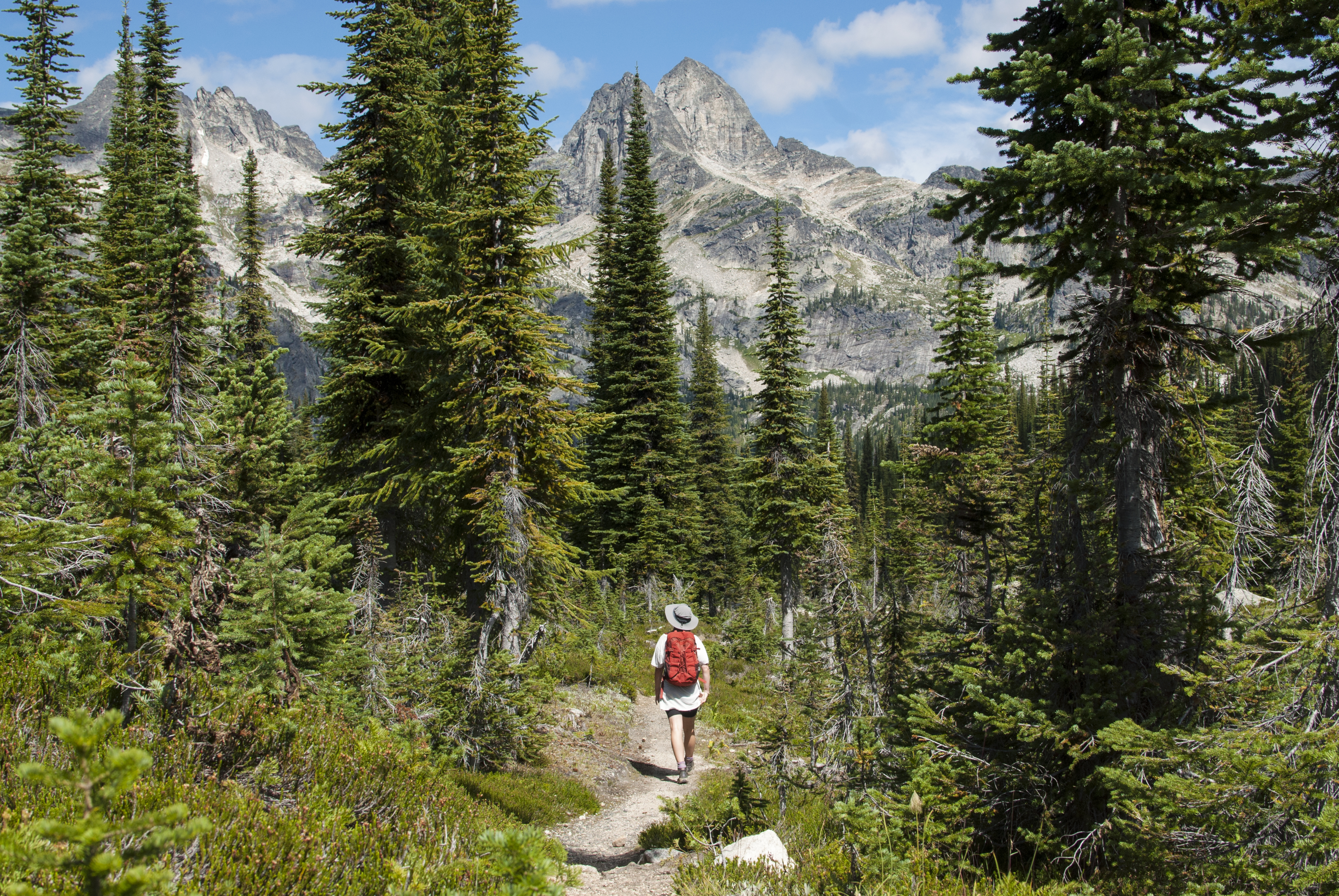 Hike to Gwillim Lakes 