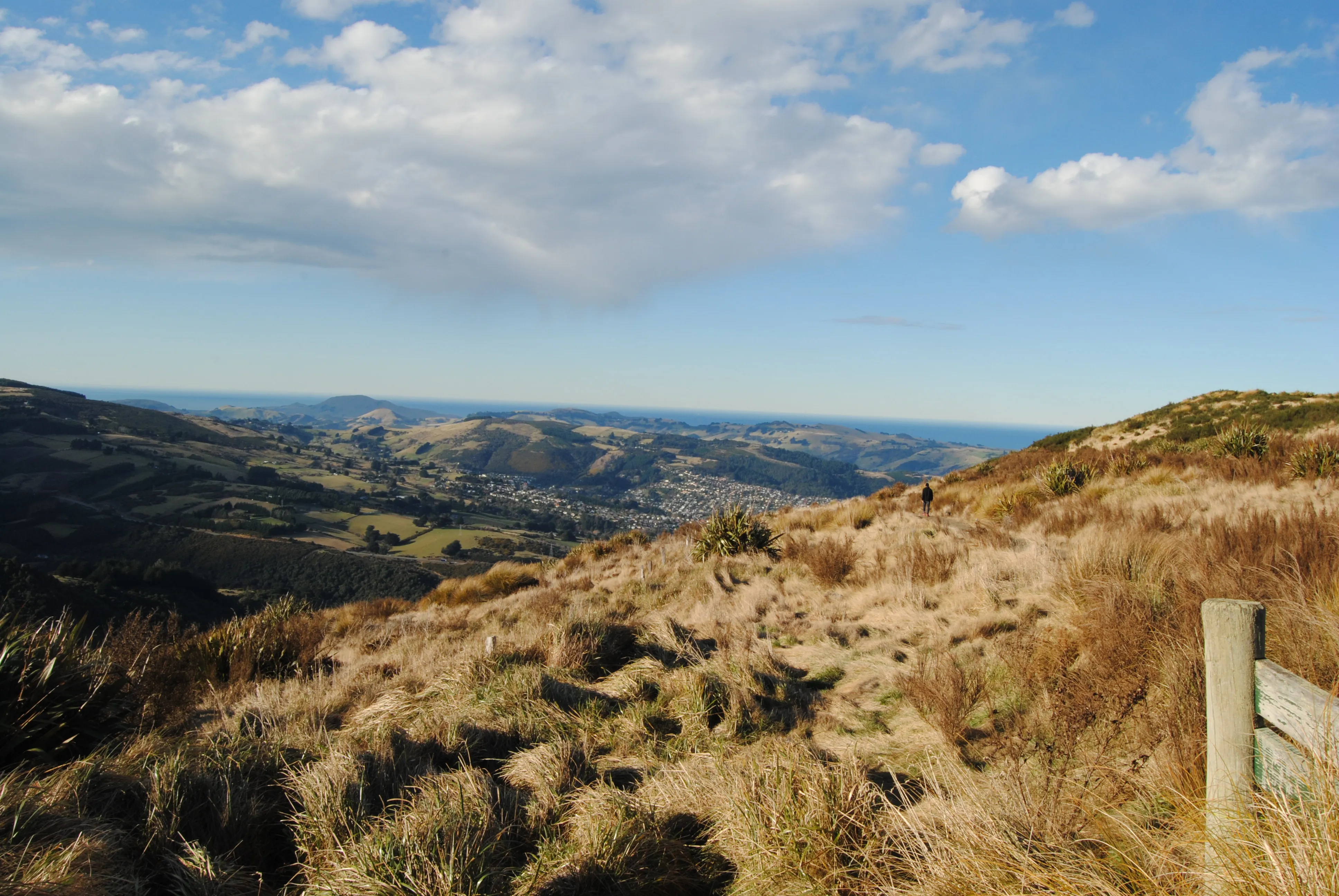 Pineapple Track, Dunedin