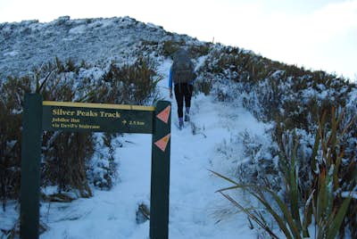 Backpacking Silver Peaks Track