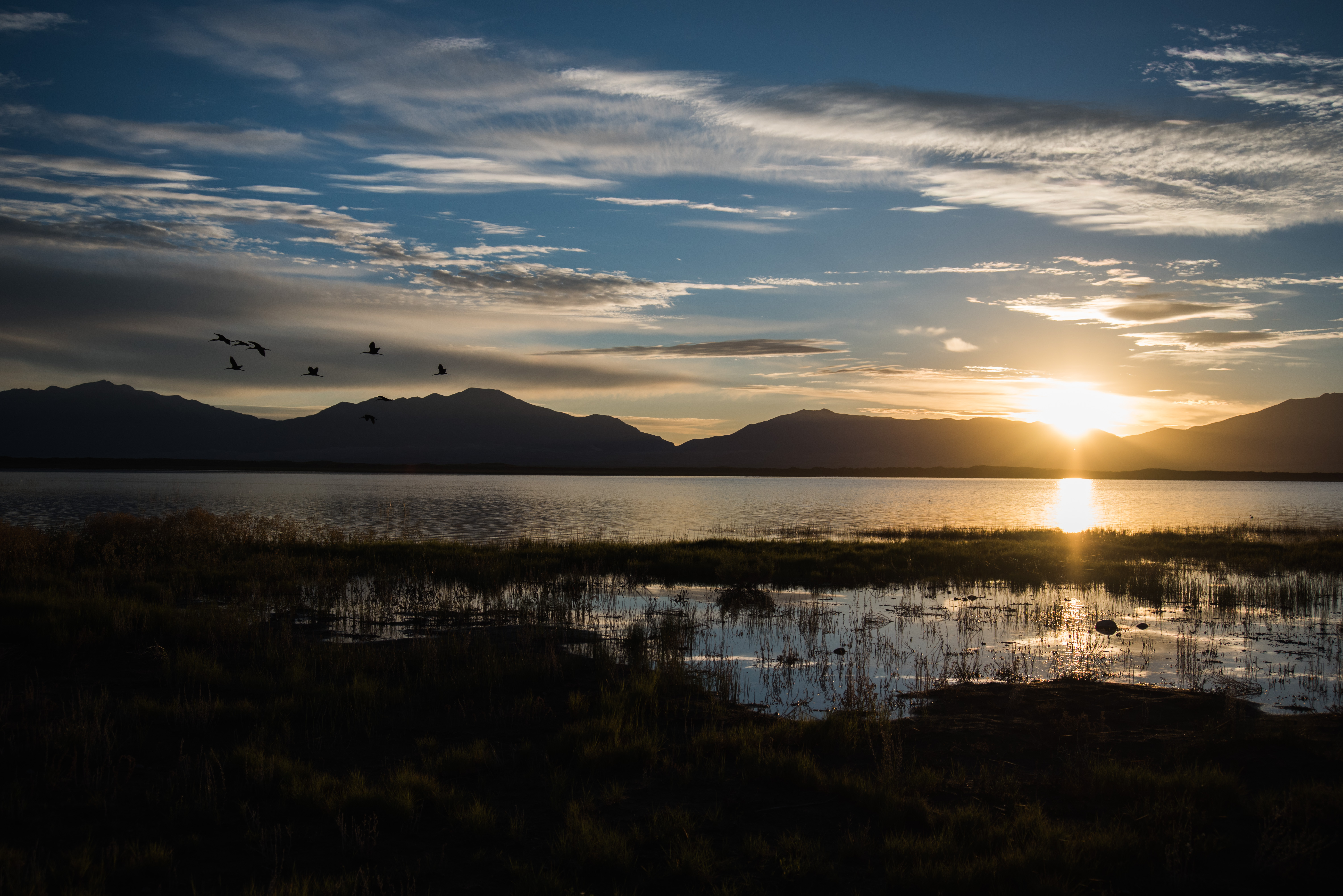 Camp at Mosca Campground