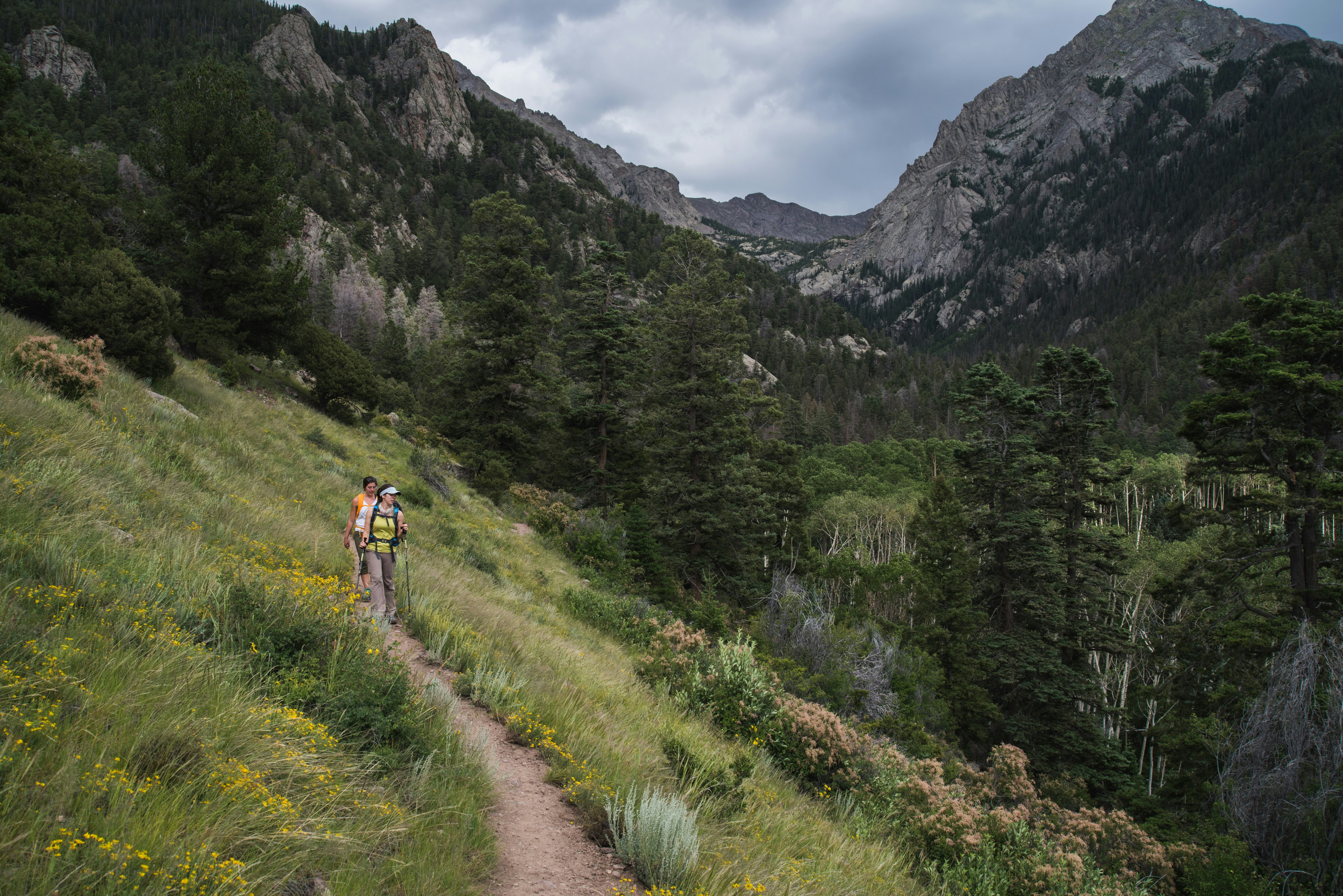 Escape To The Enchanted Forest: Unwinding At Mosca Campground