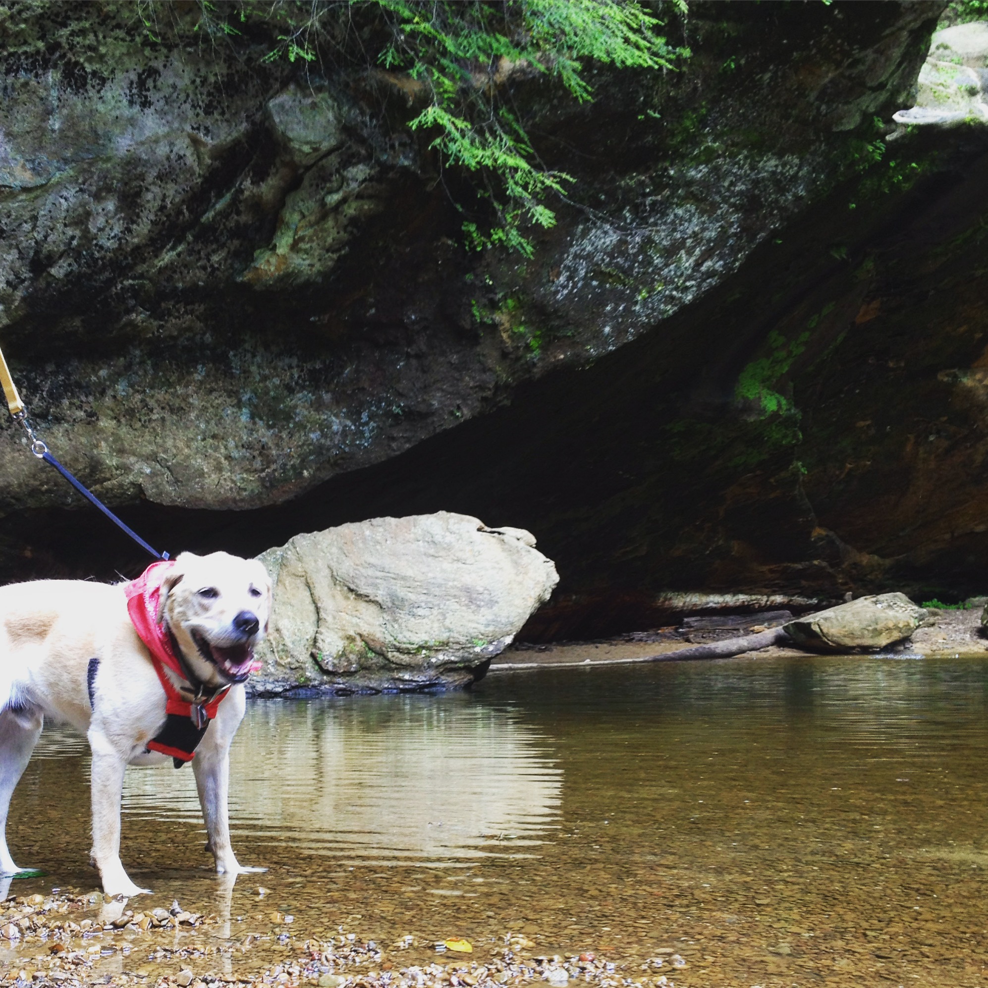 Hike & Camp in Hocking Hills, Ohio
