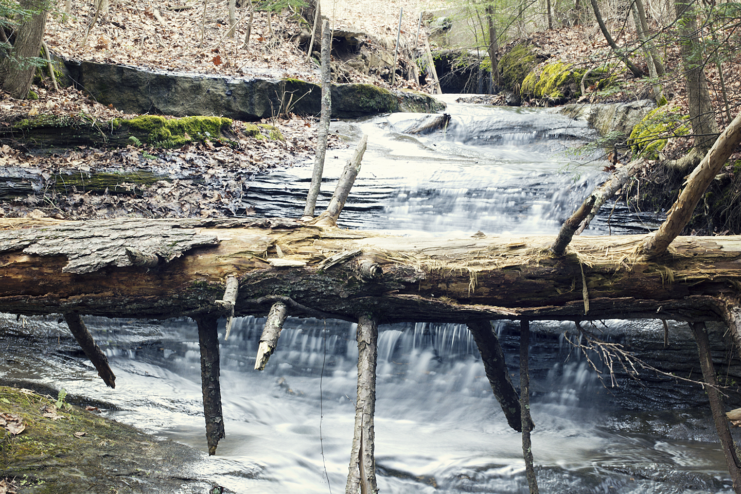 Hike & Camp in Hocking Hills, Ohio