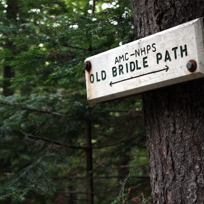 Hike the Franconia Ridge Loop