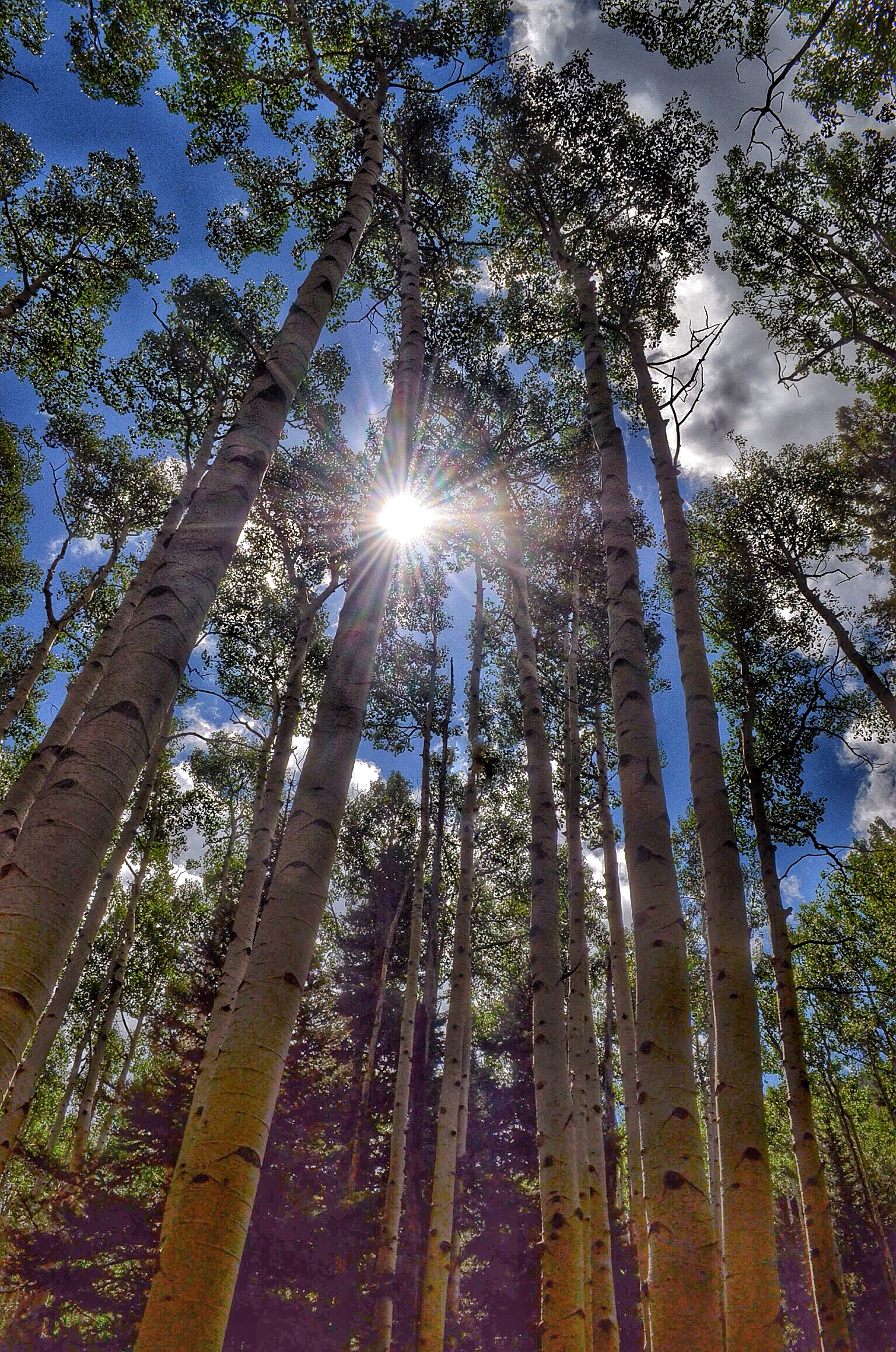 Humphreys Peak Summit 