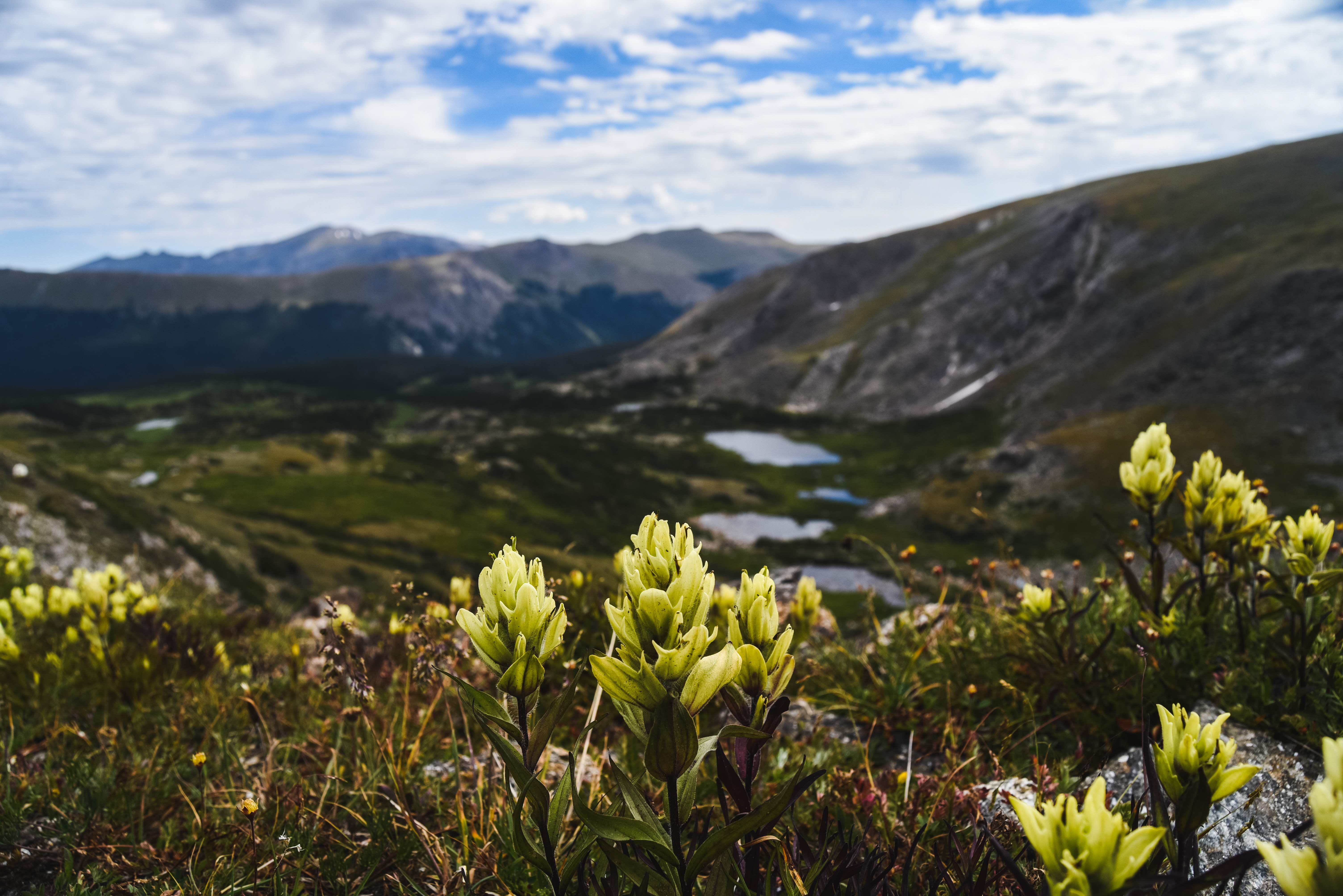 Mt. Ida via Milner Pass