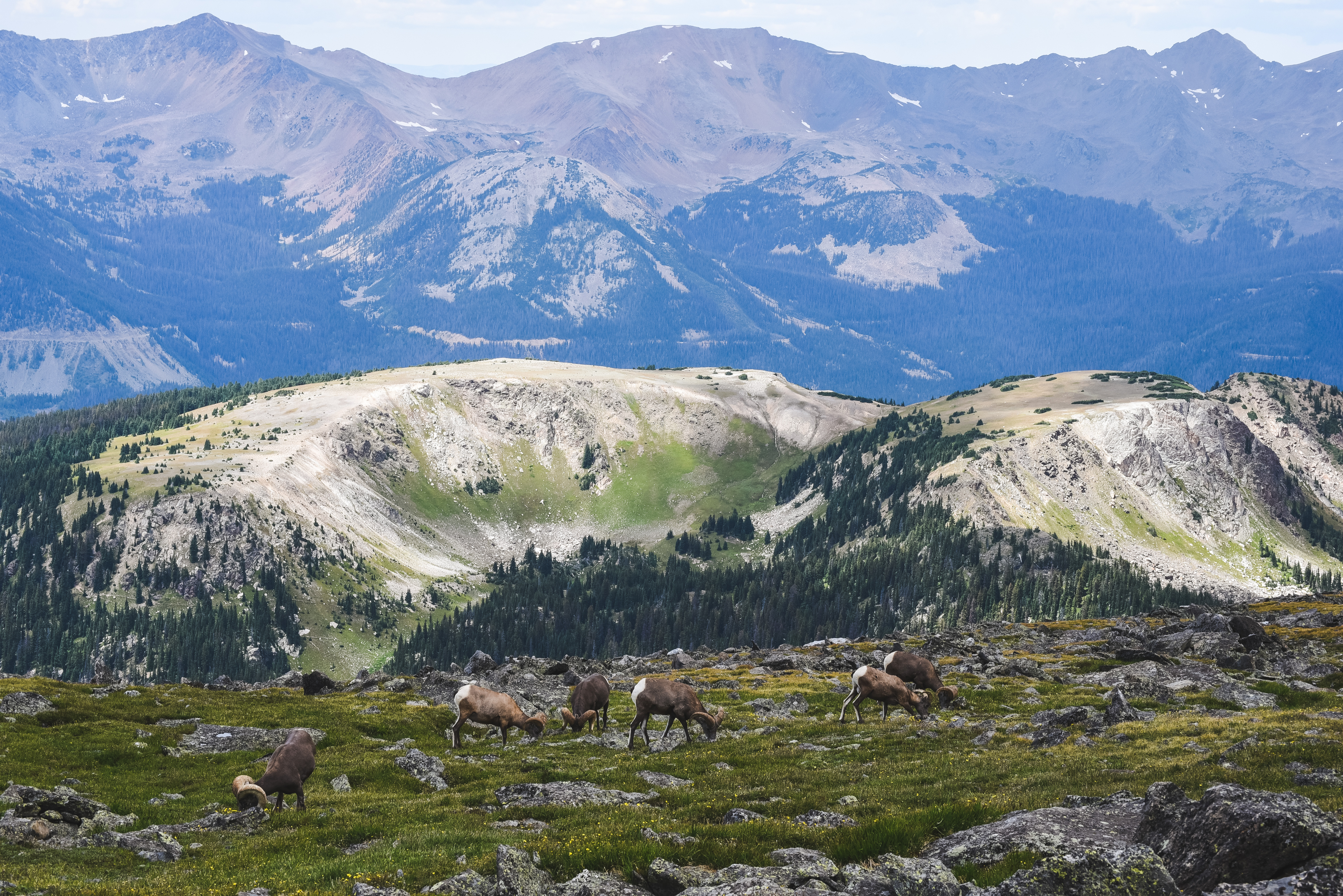 Mt. Ida via Milner Pass