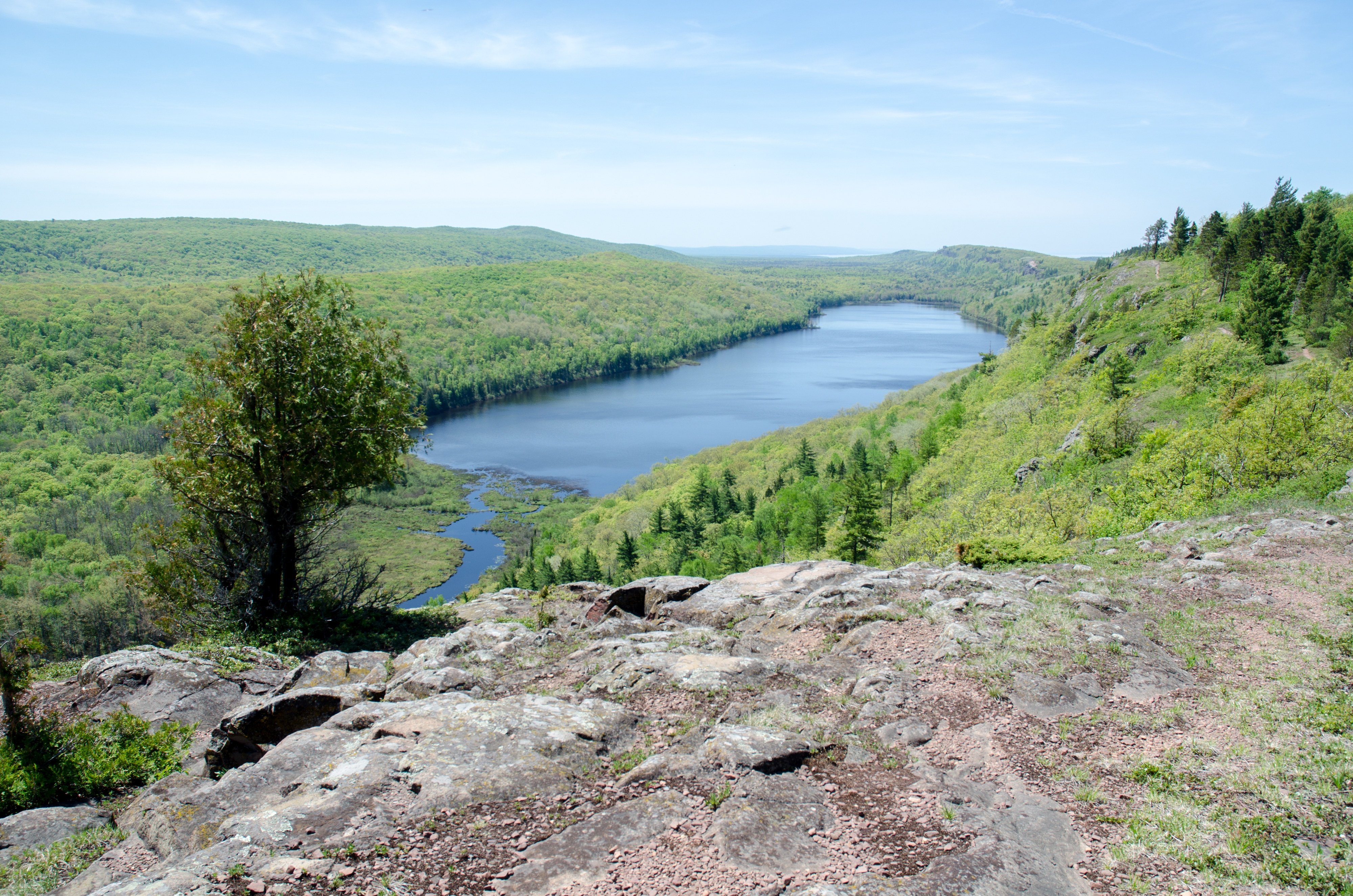 Escarpment Trail