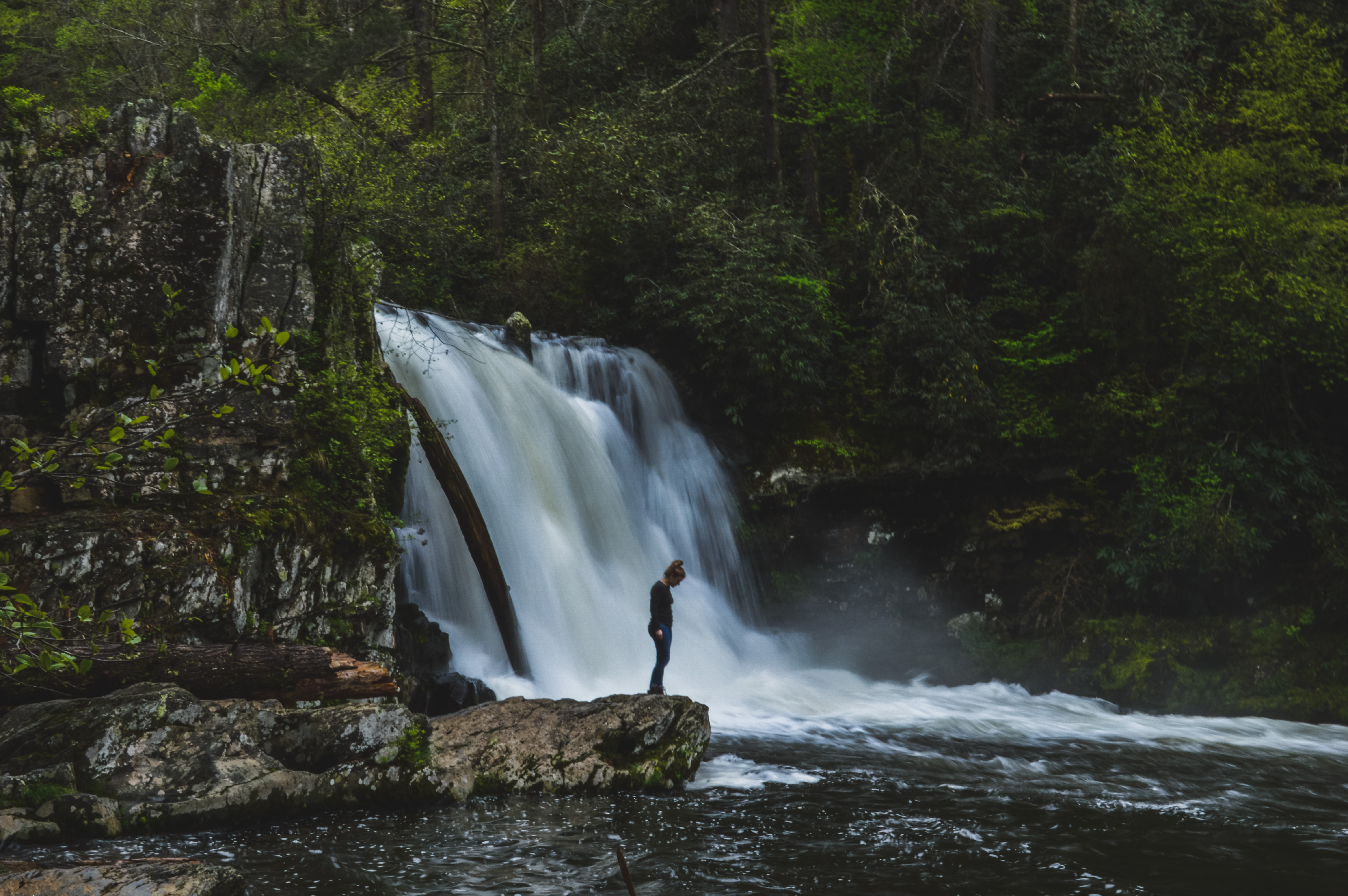 Abrams Falls Trail
