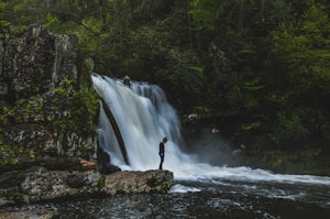 Abrams Falls Trail