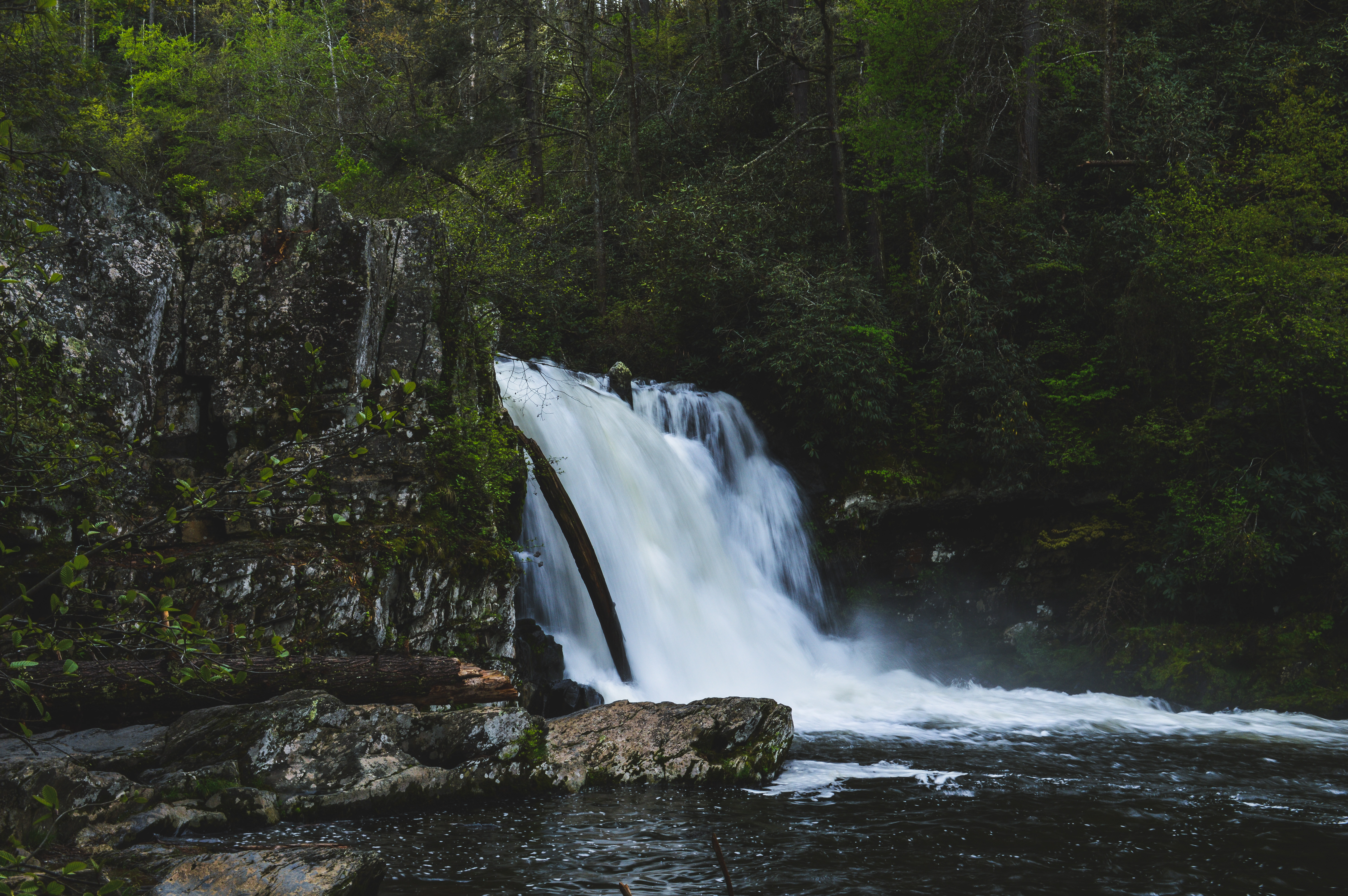 Abrams Falls Trail