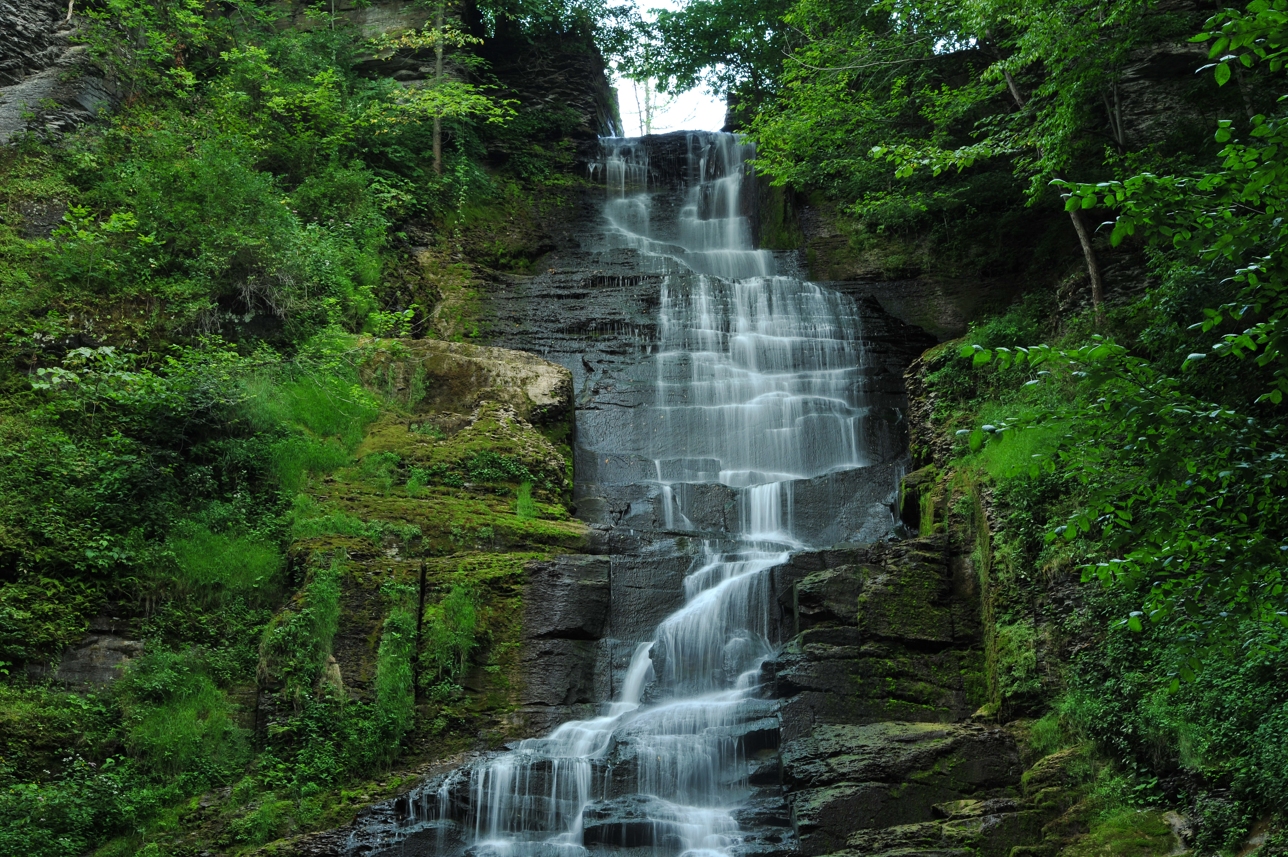 Pratt's Falls Park Trail